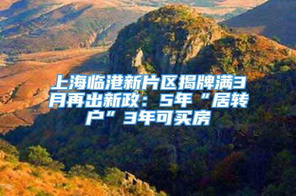 上海临港新片区揭牌满3月再出新政：5年“居转户”3年可买房