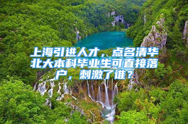 上海引进人才，点名清华北大本科毕业生可直接落户，刺激了谁？