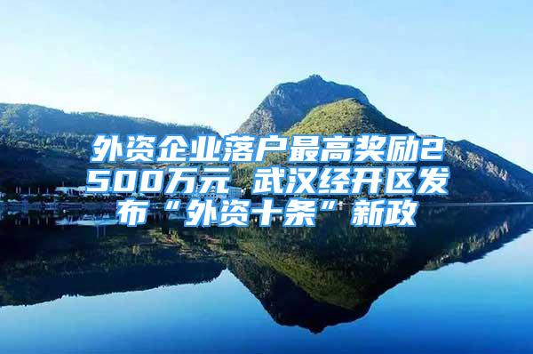 外资企业落户最高奖励2500万元 武汉经开区发布“外资十条”新政