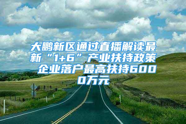 大鹏新区通过直播解读最新“1+6”产业扶持政策 企业落户最高扶持6000万元