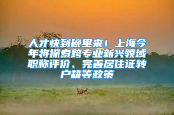 人才快到碗里来！上海今年将探索跨专业新兴领域职称评价、完善居住证转户籍等政策