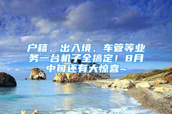 户籍、出入境、车管等业务一台机子全搞定！8月中旬还有大惊喜~