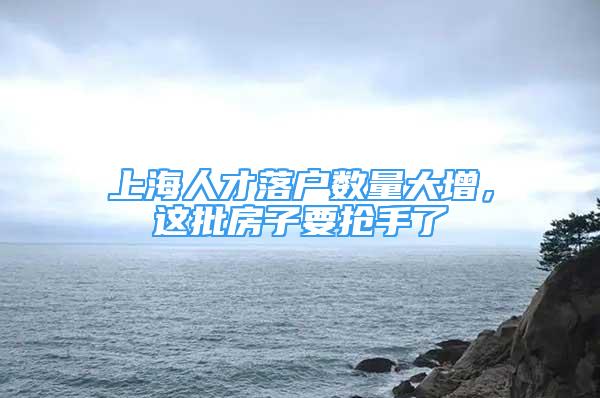 上海人才落户数量大增，这批房子要抢手了