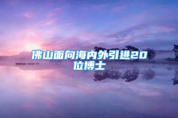 佛山面向海内外引进20位博士