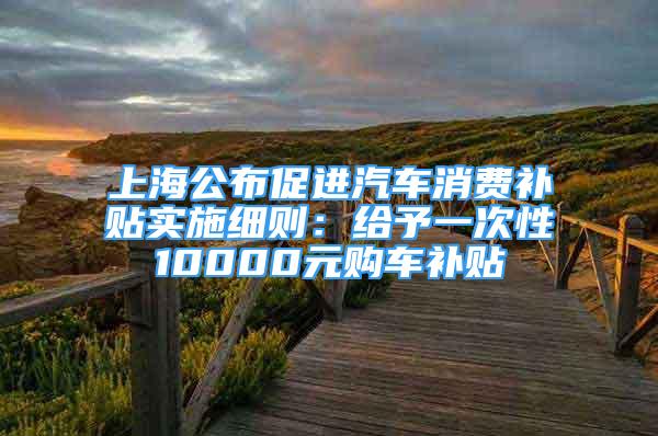 上海公布促进汽车消费补贴实施细则：给予一次性10000元购车补贴