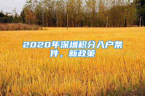 2020年深圳积分入户条件，新政策