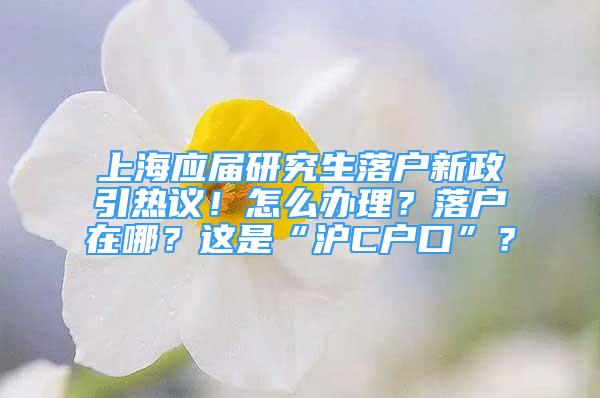 上海应届研究生落户新政引热议！怎么办理？落户在哪？这是“沪C户口”？