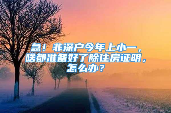 急！非深户今年上小一，啥都准备好了除住房证明，怎么办？