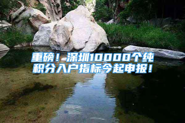 重磅！深圳10000个纯积分入户指标今起申报！