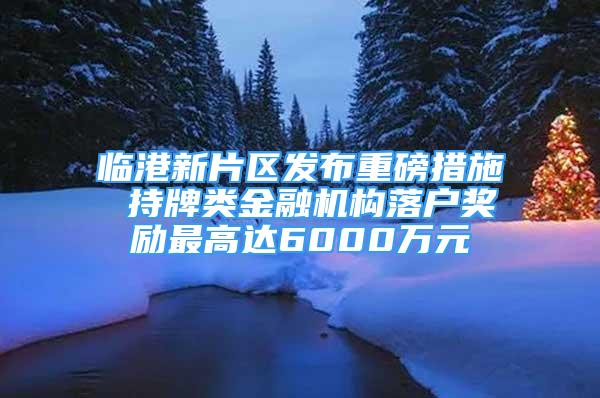 临港新片区发布重磅措施 持牌类金融机构落户奖励最高达6000万元