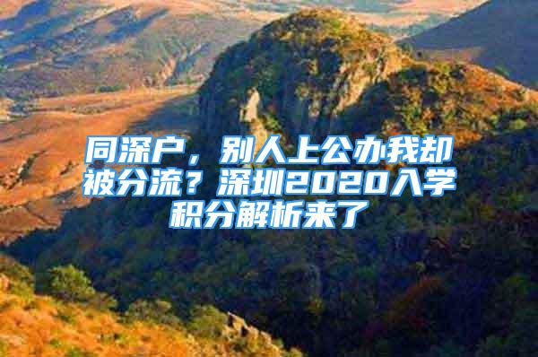 同深户，别人上公办我却被分流？深圳2020入学积分解析来了