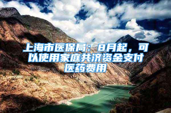 上海市医保局：8月起，可以使用家庭共济资金支付医药费用