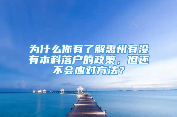 为什么你有了解惠州有没有本科落户的政策，但还不会应对方法？