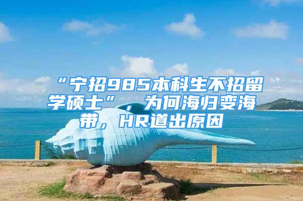 “宁招985本科生不招留学硕士”，为何海归变海带，HR道出原因