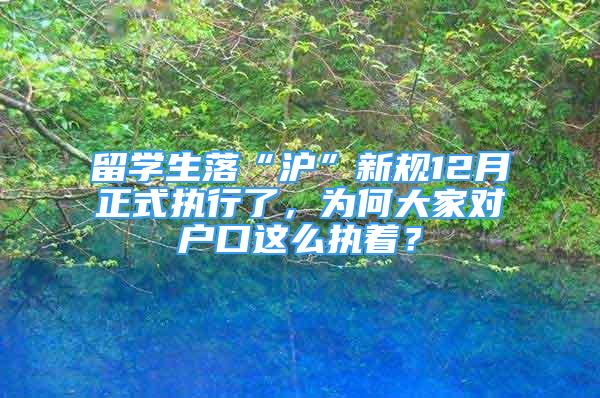 留学生落“沪”新规12月正式执行了，为何大家对户口这么执着？