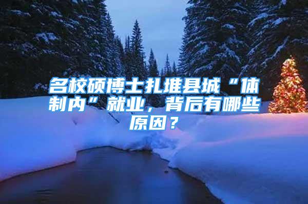 名校硕博士扎堆县城“体制内”就业，背后有哪些原因？