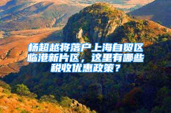 杨超越将落户上海自贸区临港新片区，这里有哪些税收优惠政策？