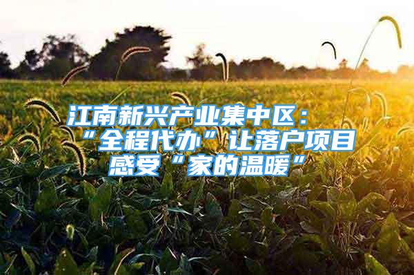 江南新兴产业集中区：“全程代办”让落户项目感受“家的温暖”