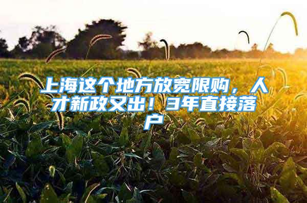 上海这个地方放宽限购，人才新政又出！3年直接落户