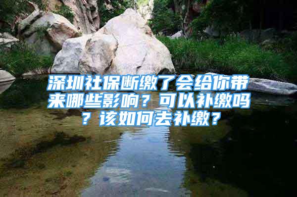 深圳社保断缴了会给你带来哪些影响？可以补缴吗？该如何去补缴？