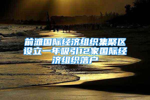 前滩国际经济组织集聚区设立一年吸引12家国际经济组织落户