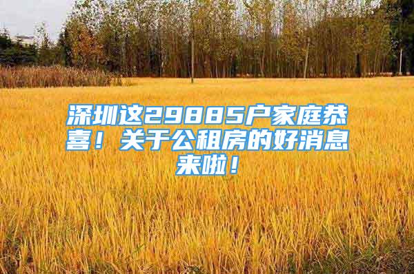 深圳这29885户家庭恭喜！关于公租房的好消息来啦！