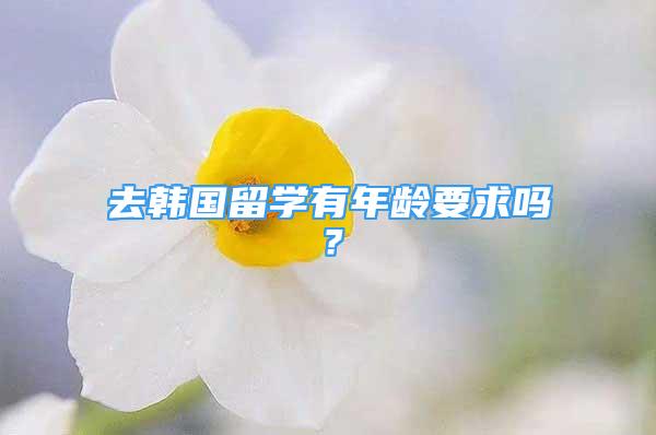 去韩国留学有年龄要求吗？