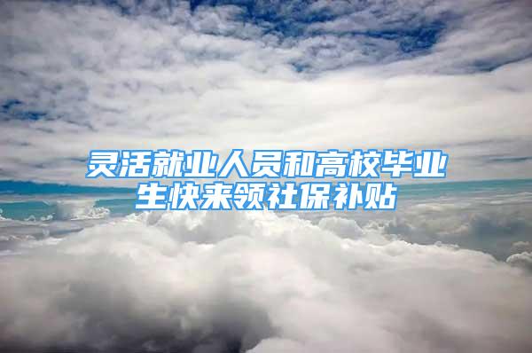 灵活就业人员和高校毕业生快来领社保补贴