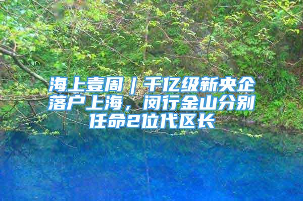 海上壹周︱千亿级新央企落户上海，闵行金山分别任命2位代区长