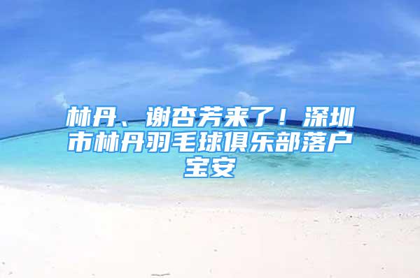 林丹、谢杏芳来了！深圳市林丹羽毛球俱乐部落户宝安