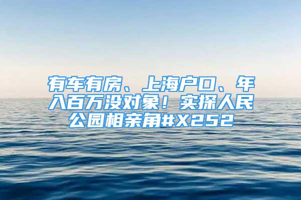 有车有房、上海户口、年入百万没对象！实探人民公园相亲角#X252