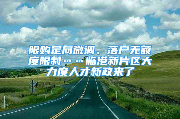 限购定向微调、落户无额度限制……临港新片区大力度人才新政来了