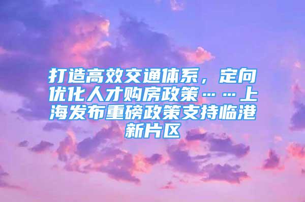 打造高效交通体系，定向优化人才购房政策……上海发布重磅政策支持临港新片区