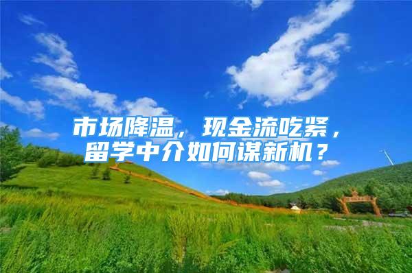 市场降温，现金流吃紧，留学中介如何谋新机？