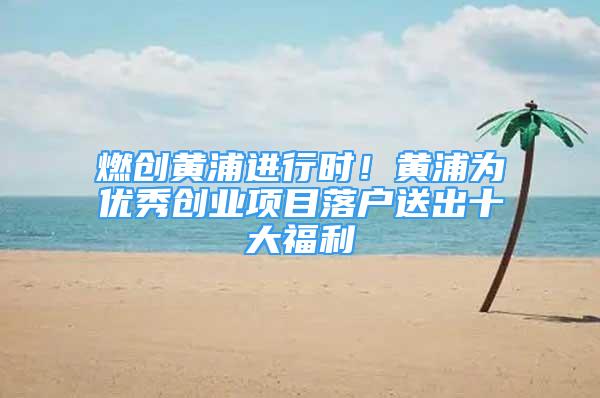 燃创黄浦进行时！黄浦为优秀创业项目落户送出十大福利