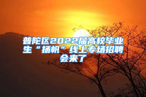 普陀区2022届高校毕业生“扬帆”线上专场招聘会来了