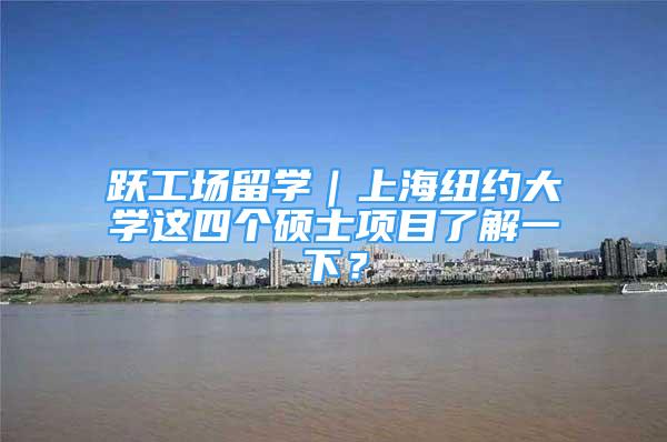 跃工场留学｜上海纽约大学这四个硕士项目了解一下？