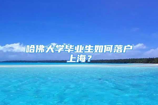 哈佛大学毕业生如何落户上海？