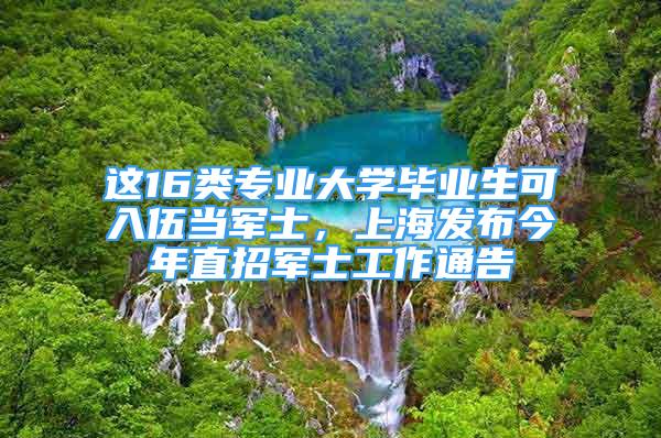 这16类专业大学毕业生可入伍当军士，上海发布今年直招军士工作通告