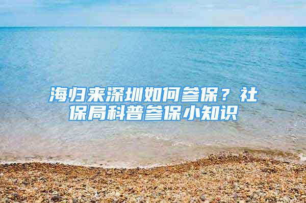 海归来深圳如何参保？社保局科普参保小知识