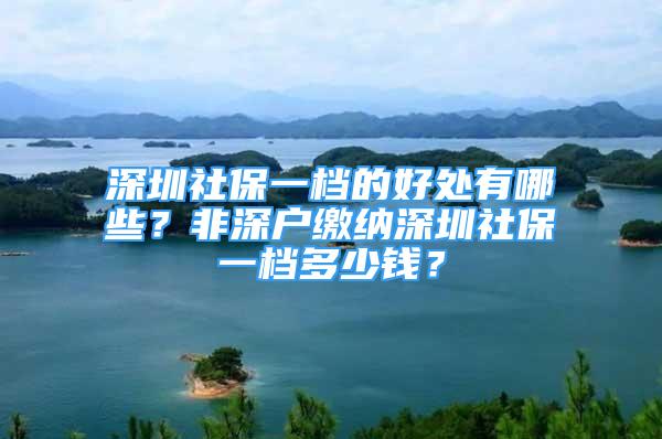 深圳社保一档的好处有哪些？非深户缴纳深圳社保一档多少钱？