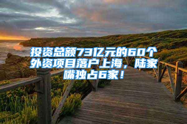 投资总额73亿元的60个外资项目落户上海，陆家嘴独占6家！