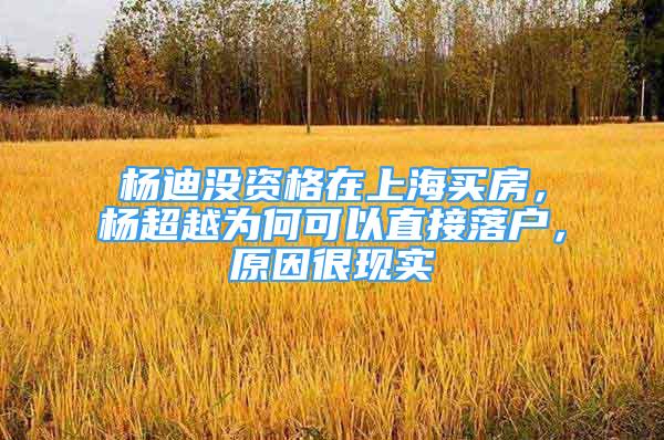 杨迪没资格在上海买房，杨超越为何可以直接落户，原因很现实