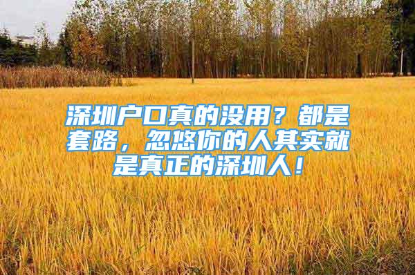 深圳户口真的没用？都是套路，忽悠你的人其实就是真正的深圳人！