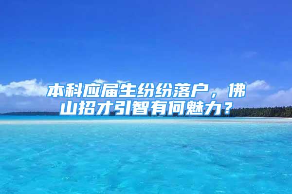 本科应届生纷纷落户，佛山招才引智有何魅力？