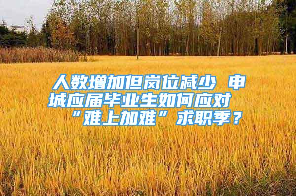 人数增加但岗位减少 申城应届毕业生如何应对“难上加难”求职季？