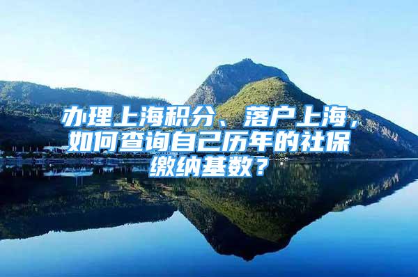 办理上海积分、落户上海，如何查询自己历年的社保缴纳基数？