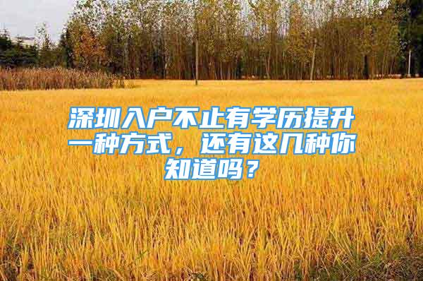 深圳入户不止有学历提升一种方式，还有这几种你知道吗？