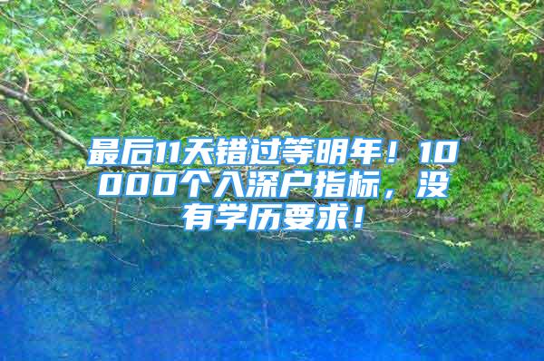 最后11天错过等明年！10000个入深户指标，没有学历要求！