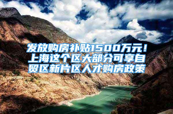 发放购房补贴1500万元！上海这个区大部分可享自贸区新片区人才购房政策